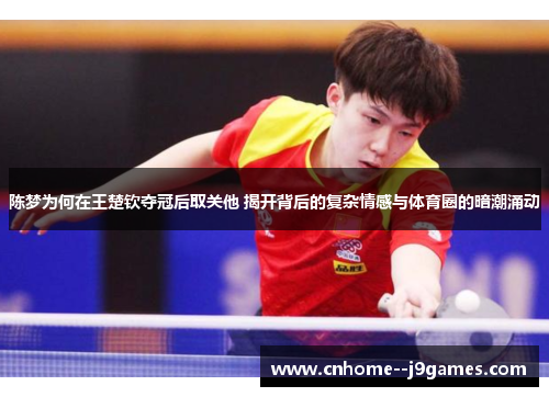 陈梦为何在王楚钦夺冠后取关他 揭开背后的复杂情感与体育圈的暗潮涌动