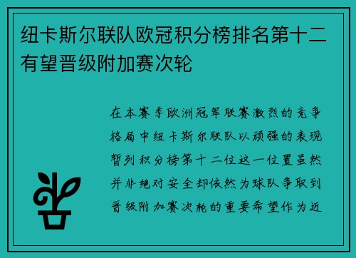 纽卡斯尔联队欧冠积分榜排名第十二有望晋级附加赛次轮 纽卡斯尔联队欧冠积分榜排名第十二有望晋级附加赛次轮